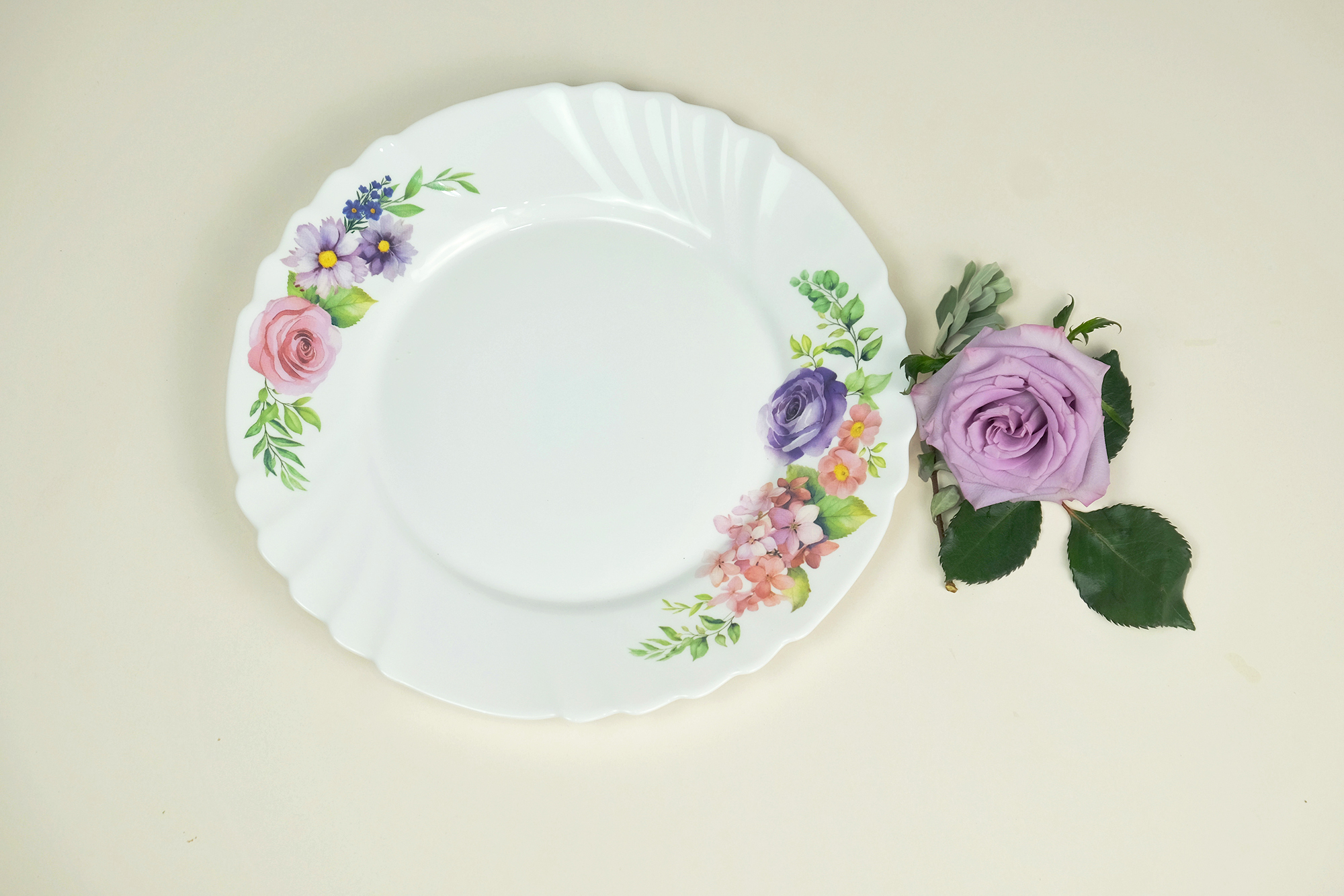 Dinexe Opal Glass Dinner Plate 10" Set 2pcs - La' Rossa