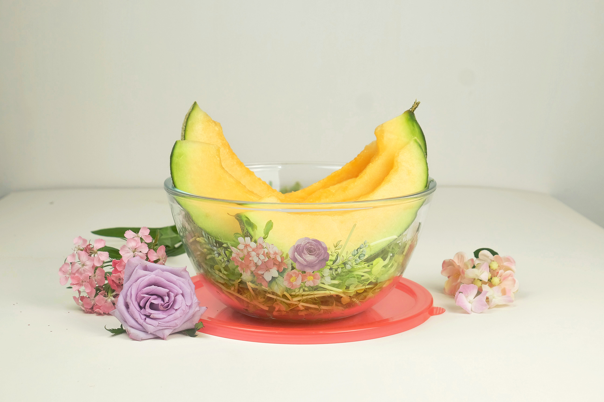 Ecolock High Borosilicate & Opal Glass Serveware Combo Set 5pcs - La' Rossa (With Free Gift)